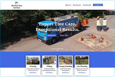 Image of a website